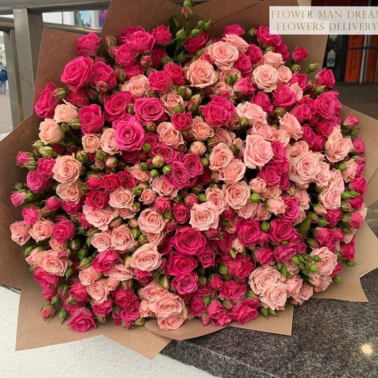 Serenade of Pastel Petals Symphony