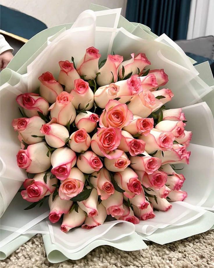 Velvet Embrace of Floral Wonders